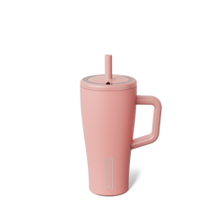 Era 20oz | Guava - Clean Routine