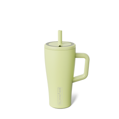 Era 20oz | Prickly Pear - Clean Routine