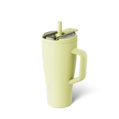 Era Flip 30oz | Prickly Pear - Care Essentials